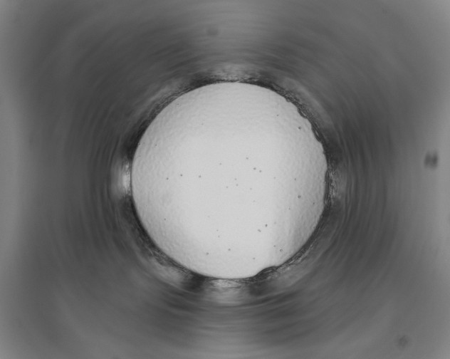 X0000096630095200802261215