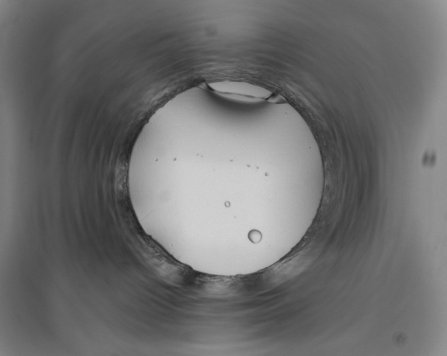 X0000096630096200802261215