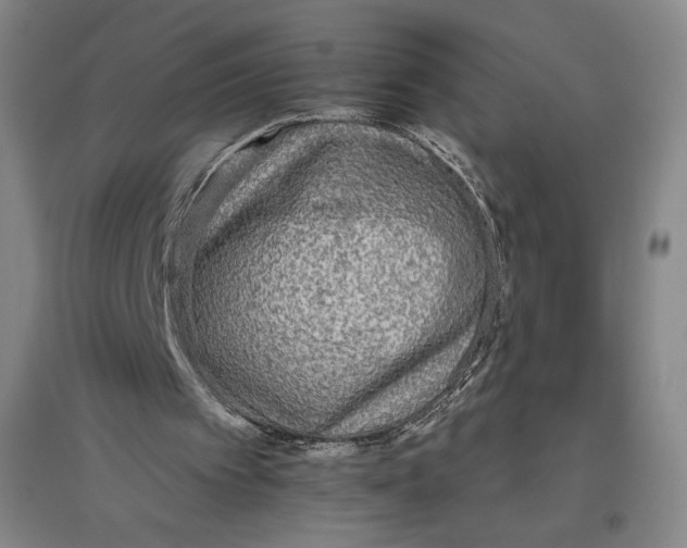 X0000096630097200802261214