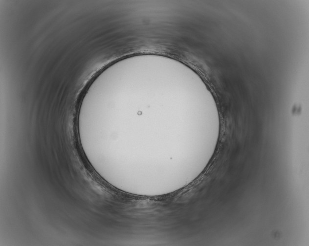 X0000096630098200802261214