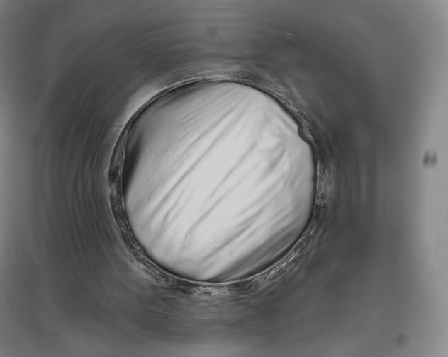 X0000096630099200802261214