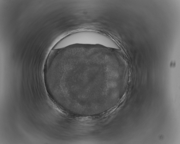X0000096630100200802261214