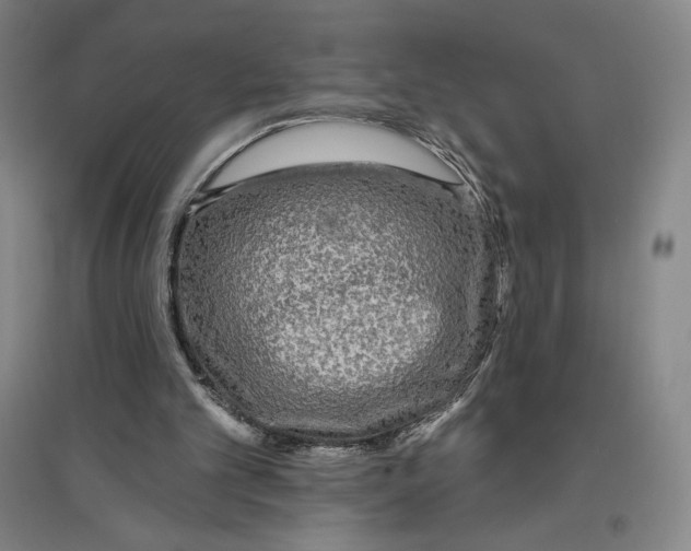 X0000096630101200802261214