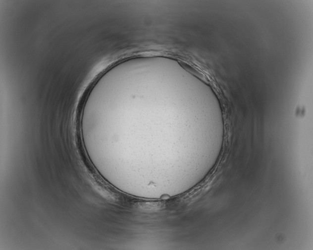 X0000096630102200802261214