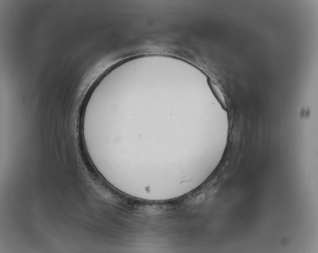 X0000096630103200802261214