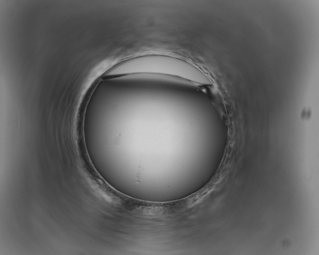 X0000096630104200802261214