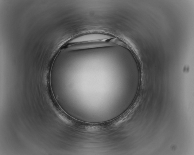 X0000096630105200802261214