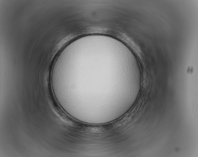 X0000096630107200802261214