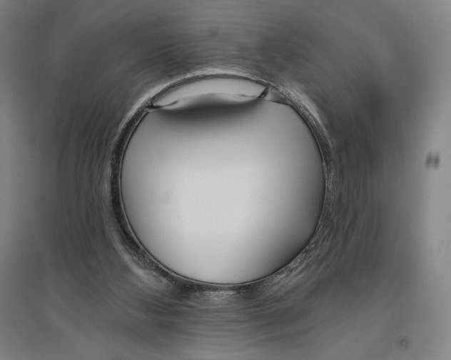 X0000096630108200802261214