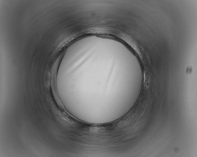 X0000096630109200802261214