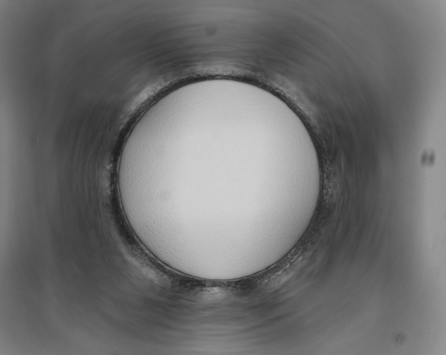 X0000096630111200802261214
