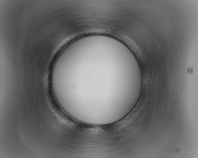X0000096630112200802261214