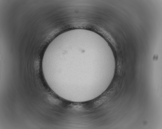 X0000096630113200802261214