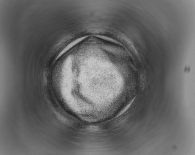 X0000096630114200802261214