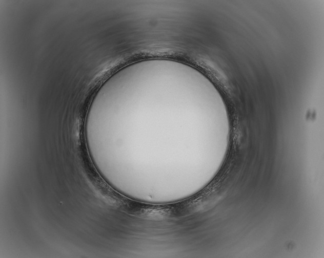 X0000096630115200802261214