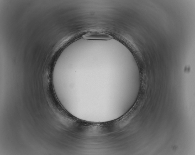 X0000096630116200802261214