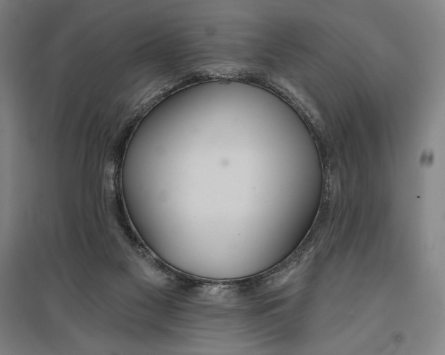X0000096630117200802261214