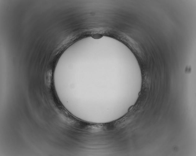 X0000096630118200802261214