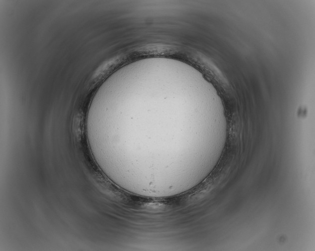 X0000096630119200802261214