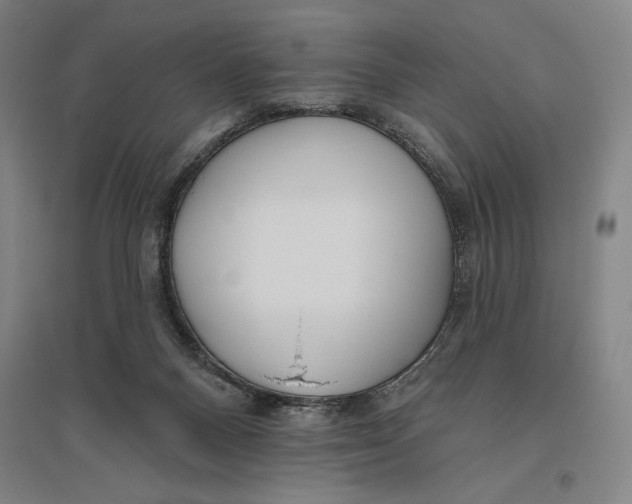 X0000096630120200802261214