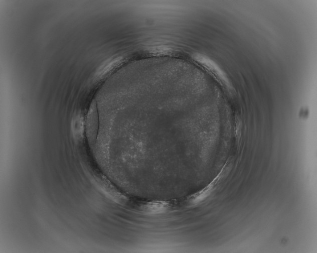 X0000096630124200802261214
