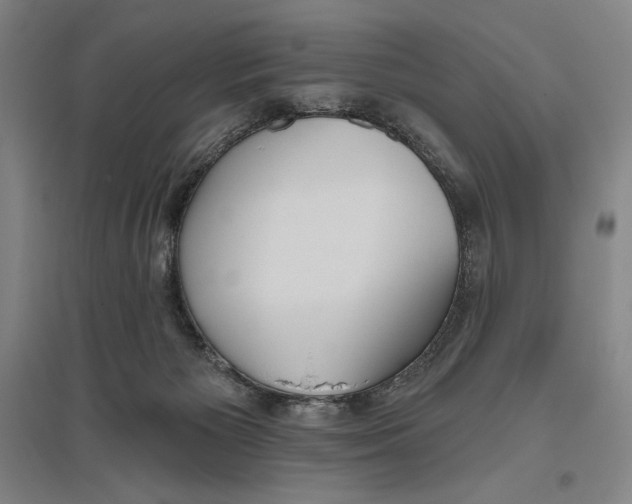 X0000096630125200802261214