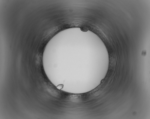 X0000096630126200802261214
