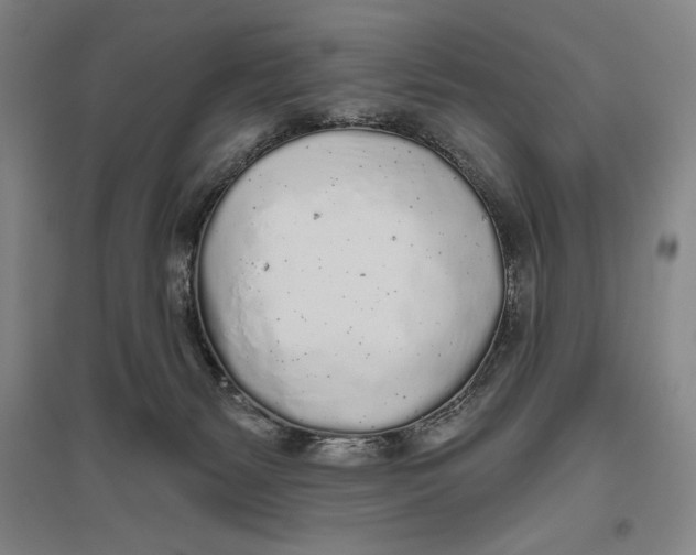 X0000096630127200802261214
