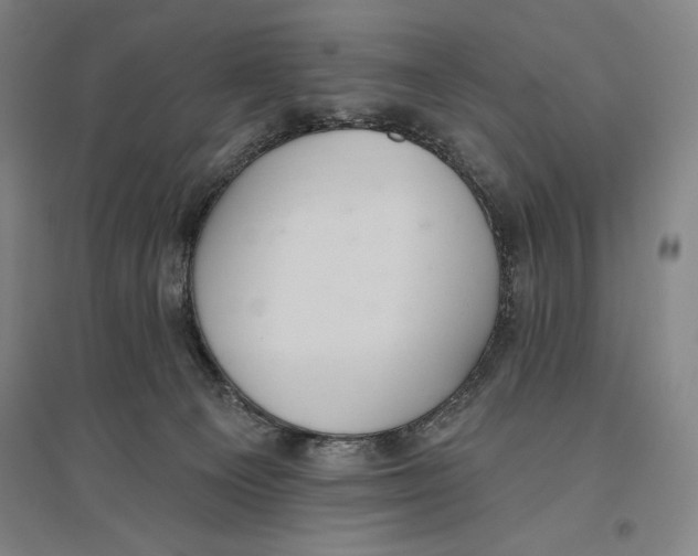 X0000096630129200802261214