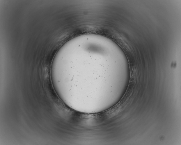 X0000096630131200802261213