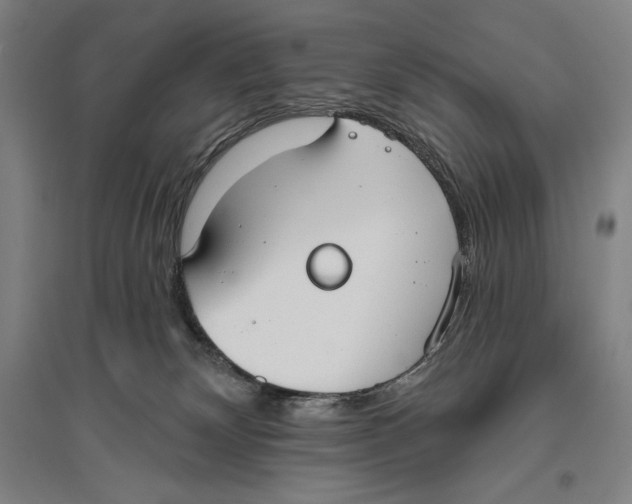 X0000096630132200802261213