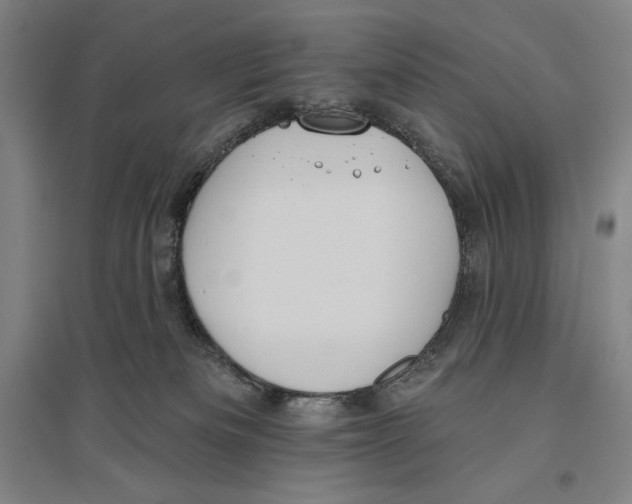X0000096630133200802261213