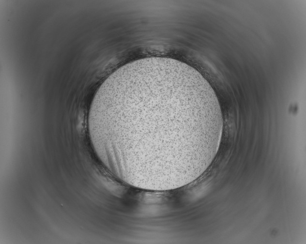 X0000096630134200802261213