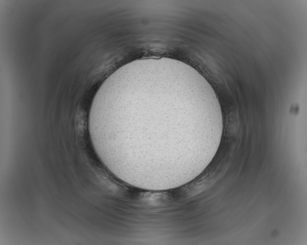 X0000096630135200802261213