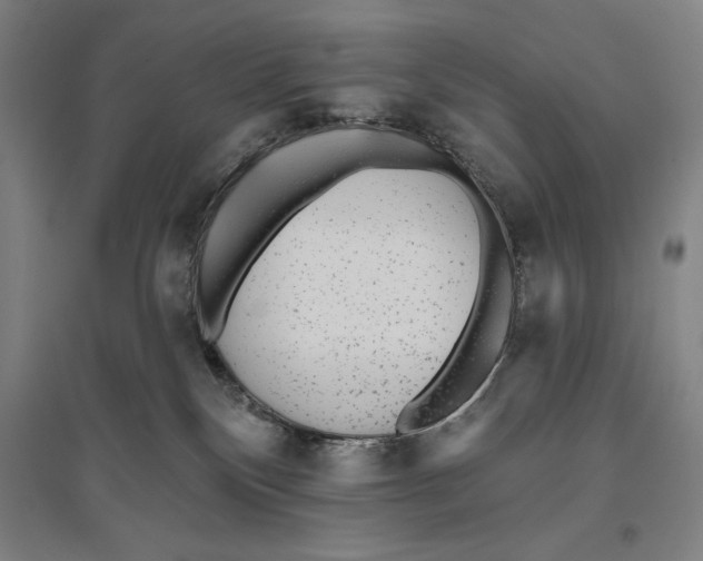X0000096630136200802261213