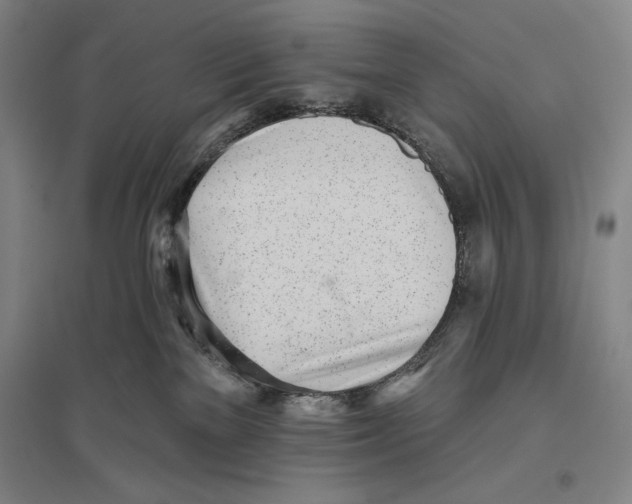 X0000096630137200802261213