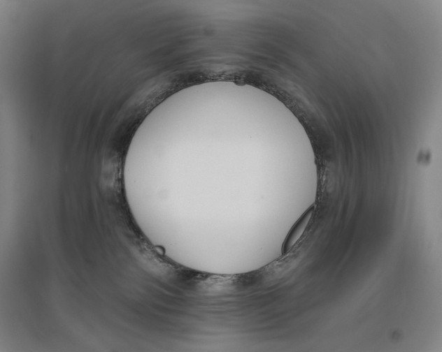 X0000096630138200802261213