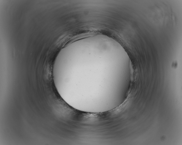 X0000096630140200802261213