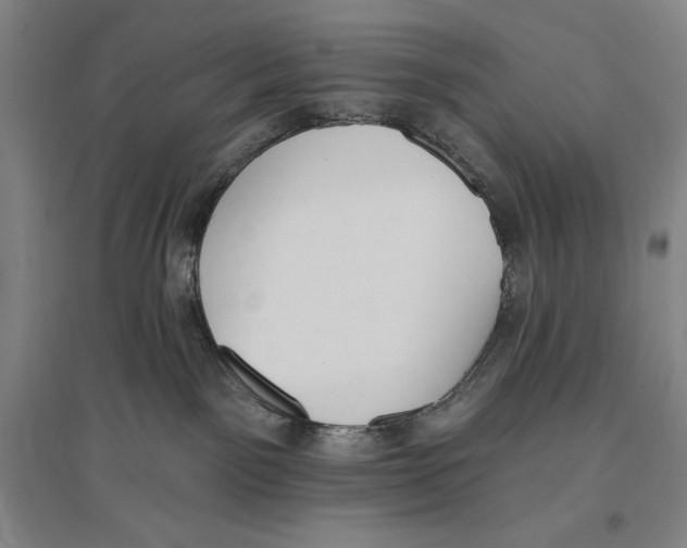 X0000096630141200802261213