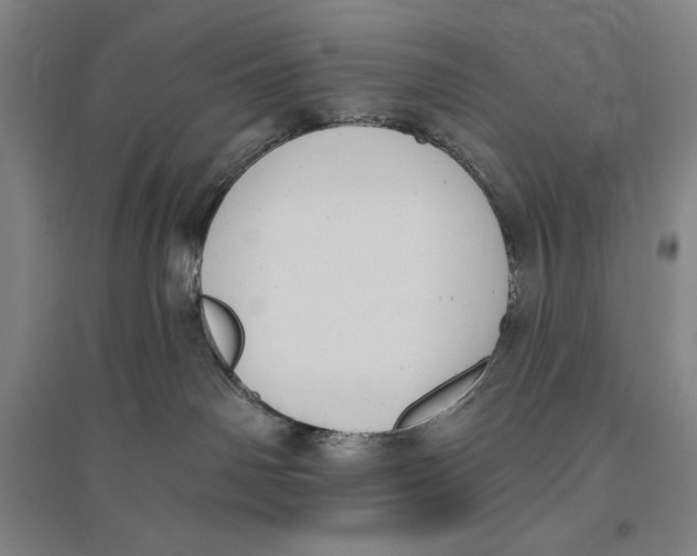 X0000096630142200802261213