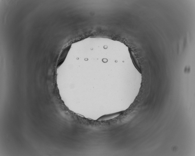 X0000096630144200802261213