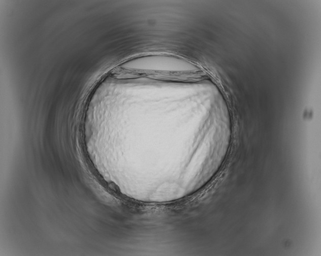 X0000096630145200802261213