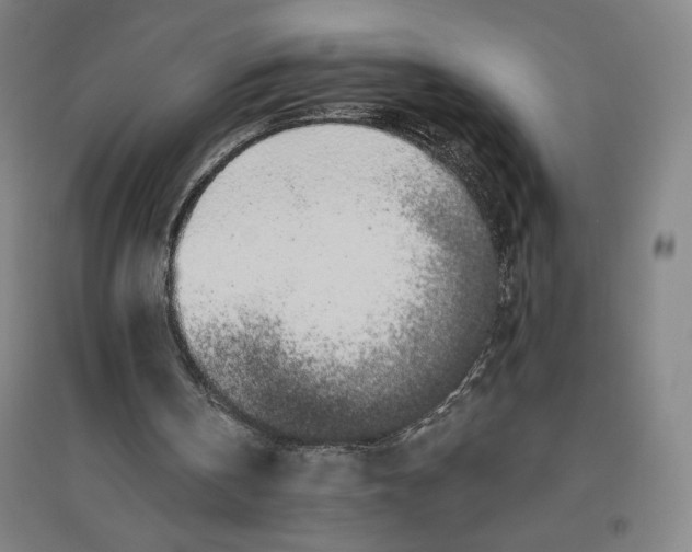 X0000096630146200802261213