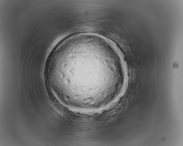 X0000096630147200802261213