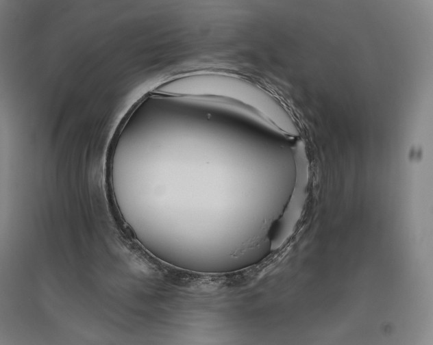X0000096630148200802261213