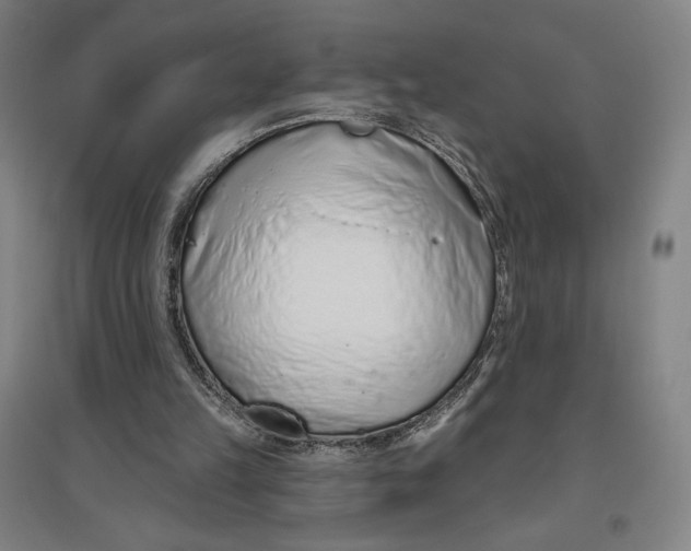 X0000096630149200802261213