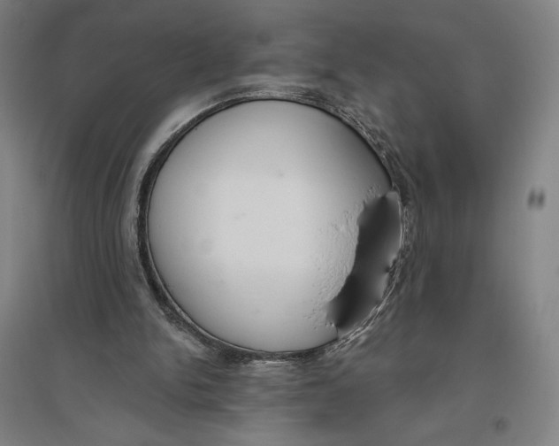 X0000096630150200802261213