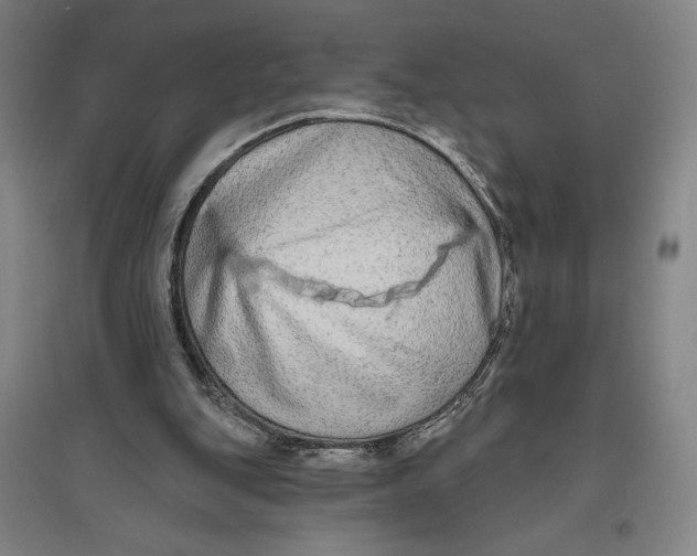 X0000096630151200802261213