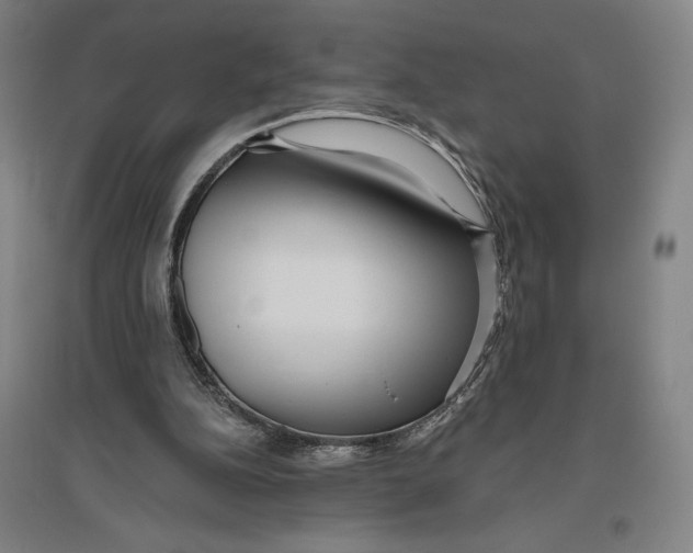 X0000096630152200802261213