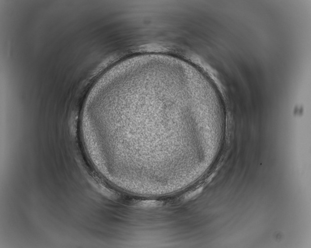 X0000096630153200802261213
